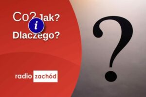 „Ja wśród nas” – konferencja o dostępności, samodzielności i głosie osób z niepełnosprawnościami